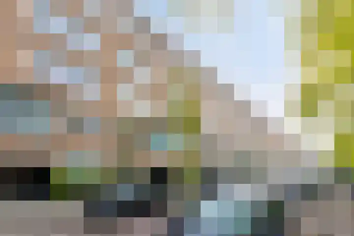 Noorderhavenkade 54 A Rotterdam thumbnail 5