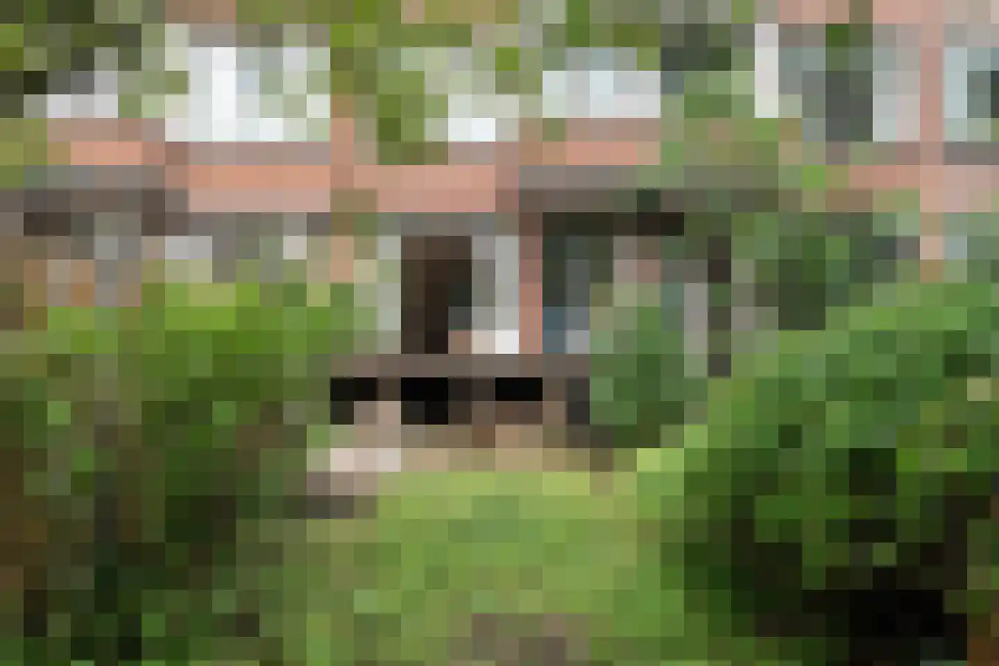 Noorderhavenkade 65 C 03 Rotterdam thumbnail 14
