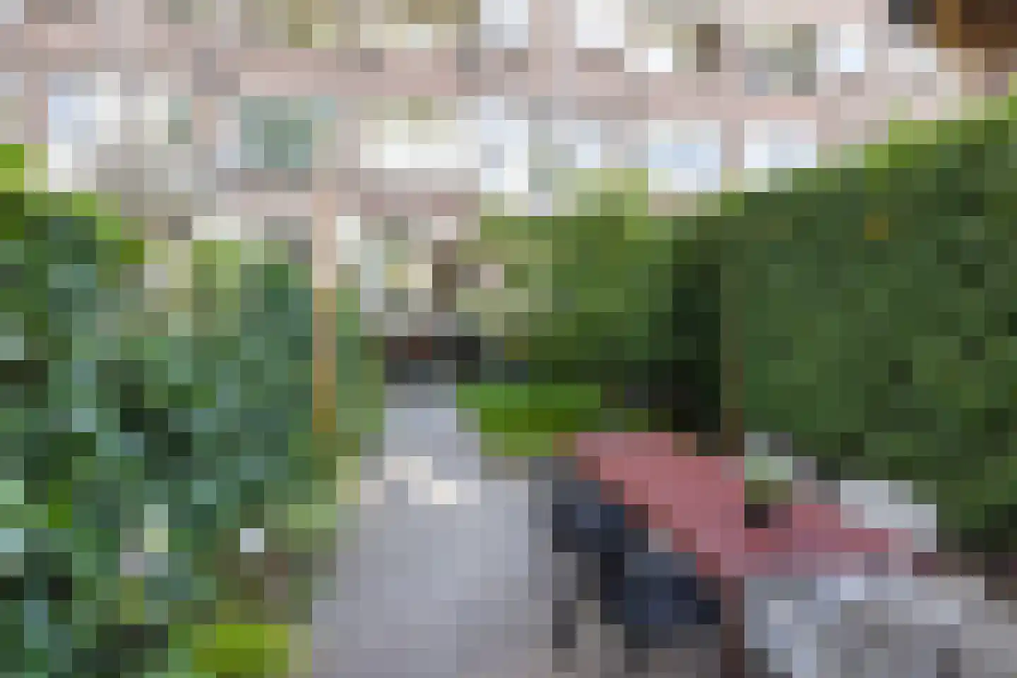 Noorderhavenkade 68 A Rotterdam thumbnail 4