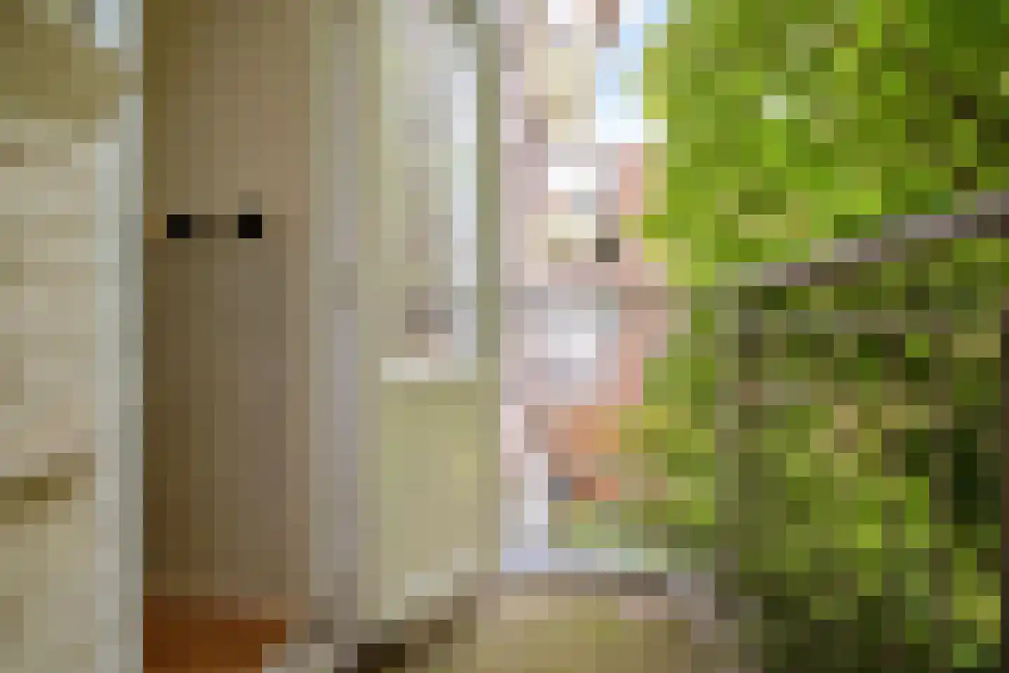 Noorderhavenkade 7 B Rotterdam thumbnail 26
