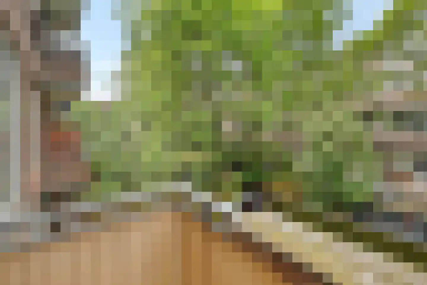 Noorderhavenkade 71 C Rotterdam thumbnail 23