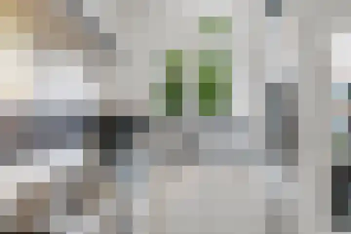 Noorderhavenkade 72 A Rotterdam thumbnail 15