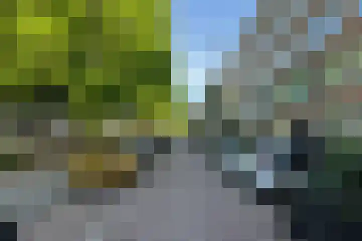 Noorderhavenkade 72 A Rotterdam thumbnail 29