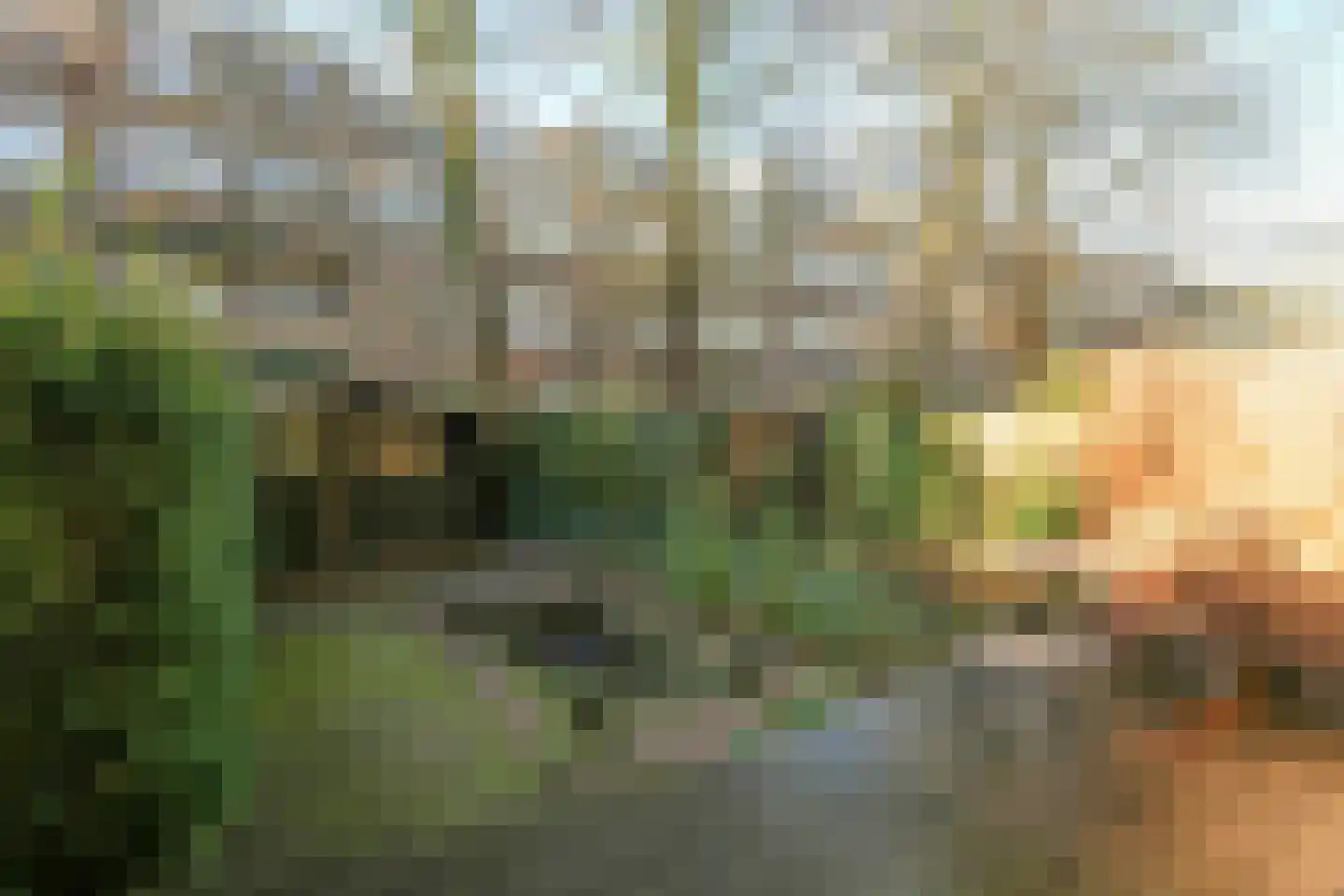 Noorderhavenkade 77 B Rotterdam thumbnail 13
