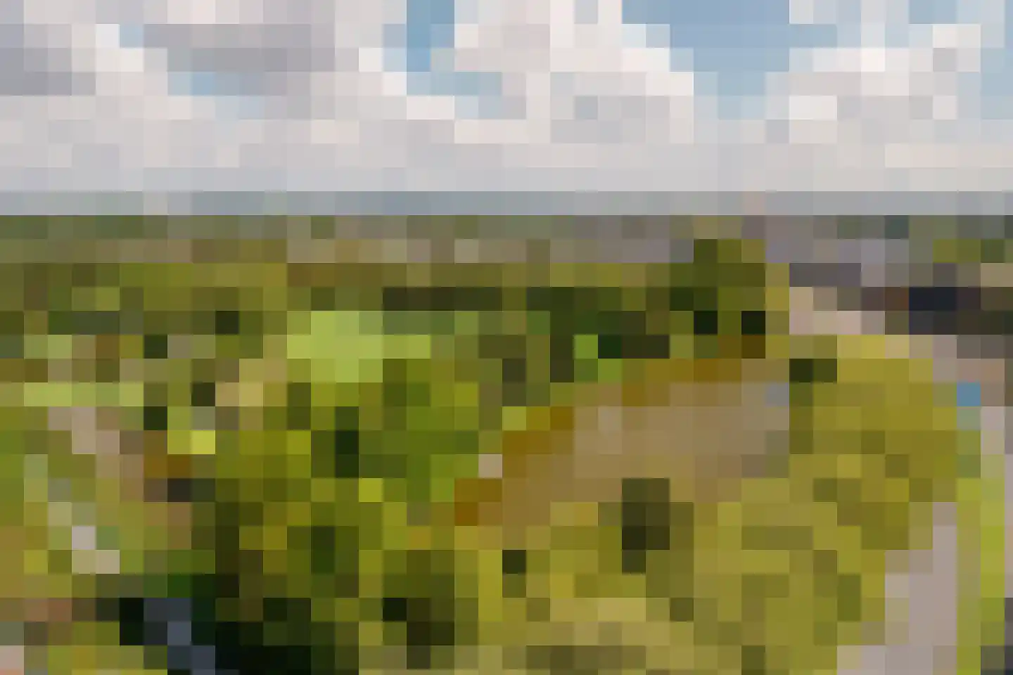 Noorderhavenkade 78 A Rotterdam thumbnail 32