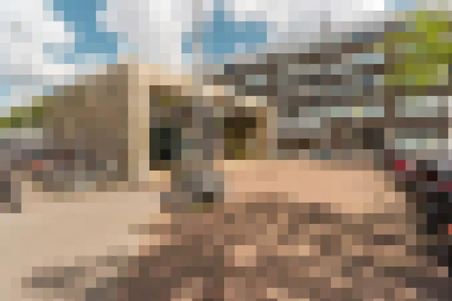 Noorderhavenkade 78 A Rotterdam thumbnail 33