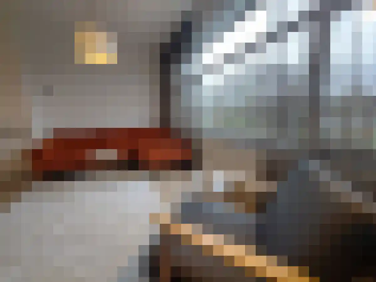 Noorderhavenkade 92 Rotterdam thumbnail 5