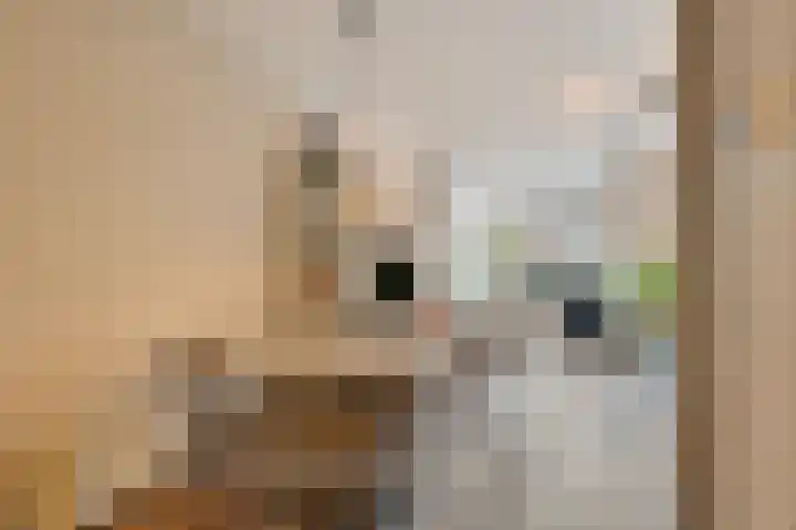 Noorderhavenkade 98 C 02 Rotterdam thumbnail 17