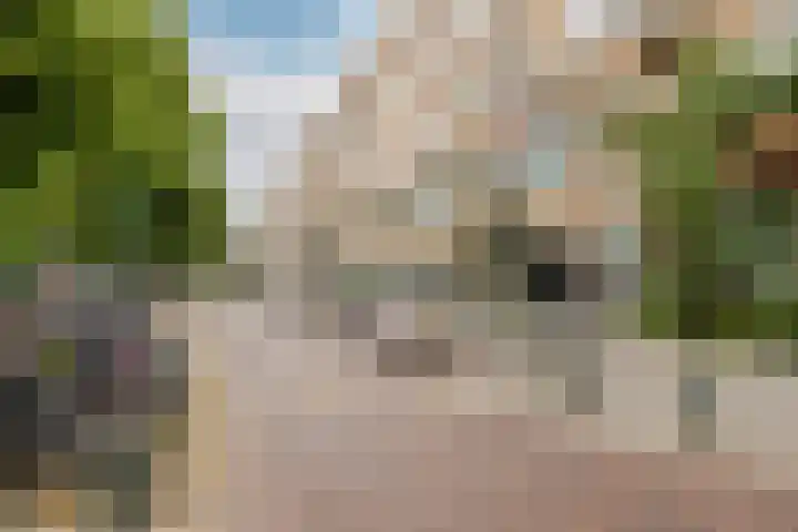 Noorderhavenkade 98 C 02 Rotterdam thumbnail 38