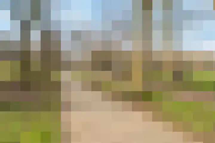 Noorderhavenkade 98 C 02 Rotterdam thumbnail 46
