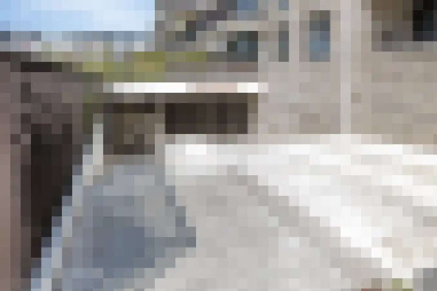 Noorderhavenstraat 125 Zutphen thumbnail 19
