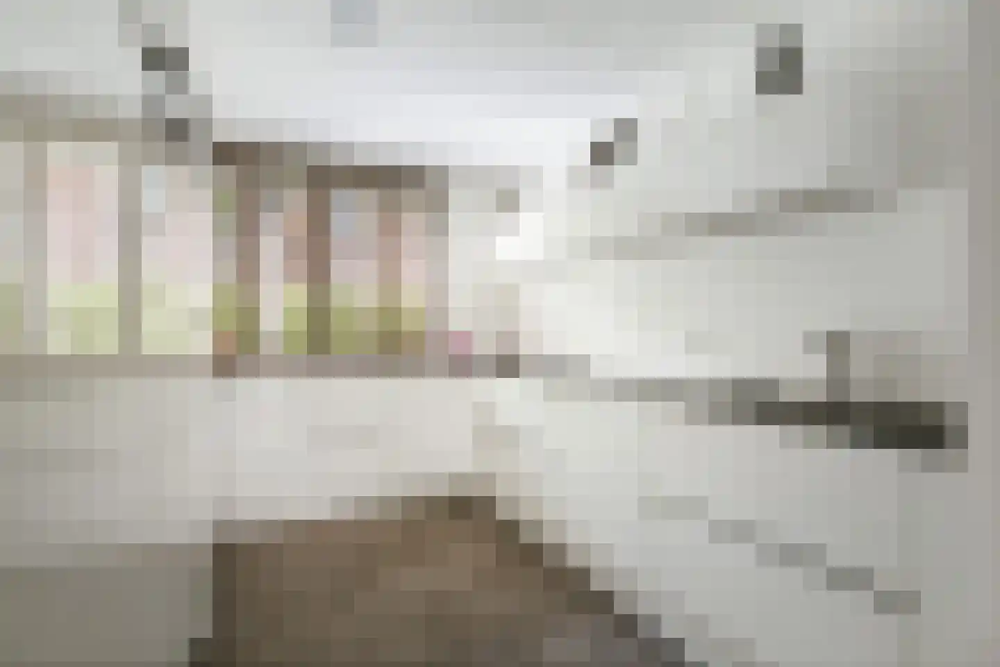 Noorderhavenstraat 136 Zutphen thumbnail 14