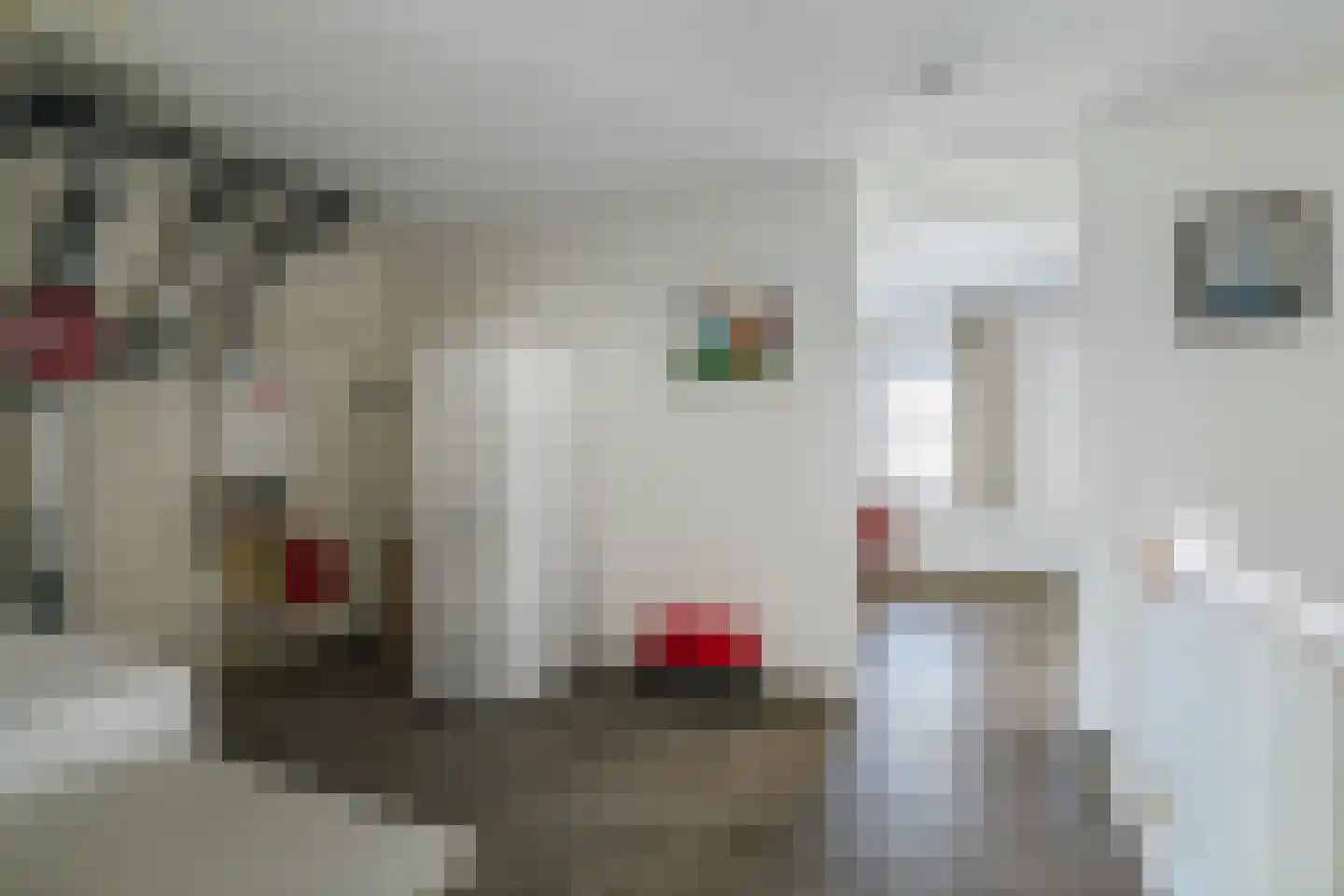 Noorderhavenstraat 136 Zutphen thumbnail 38