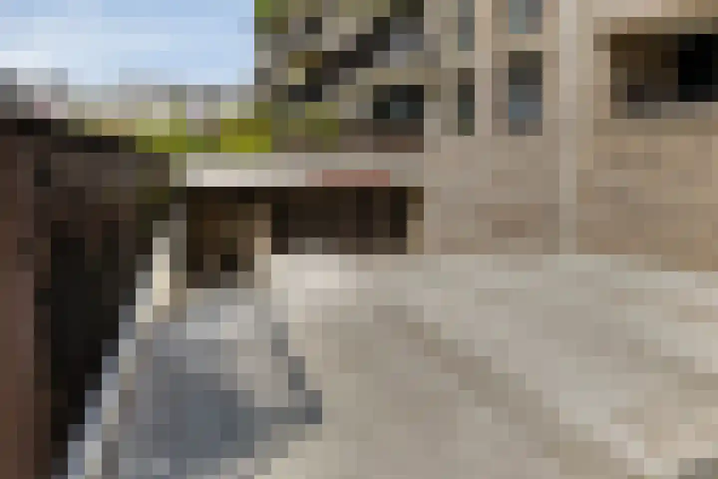 Noorderhavenstraat 169 Zutphen thumbnail 18