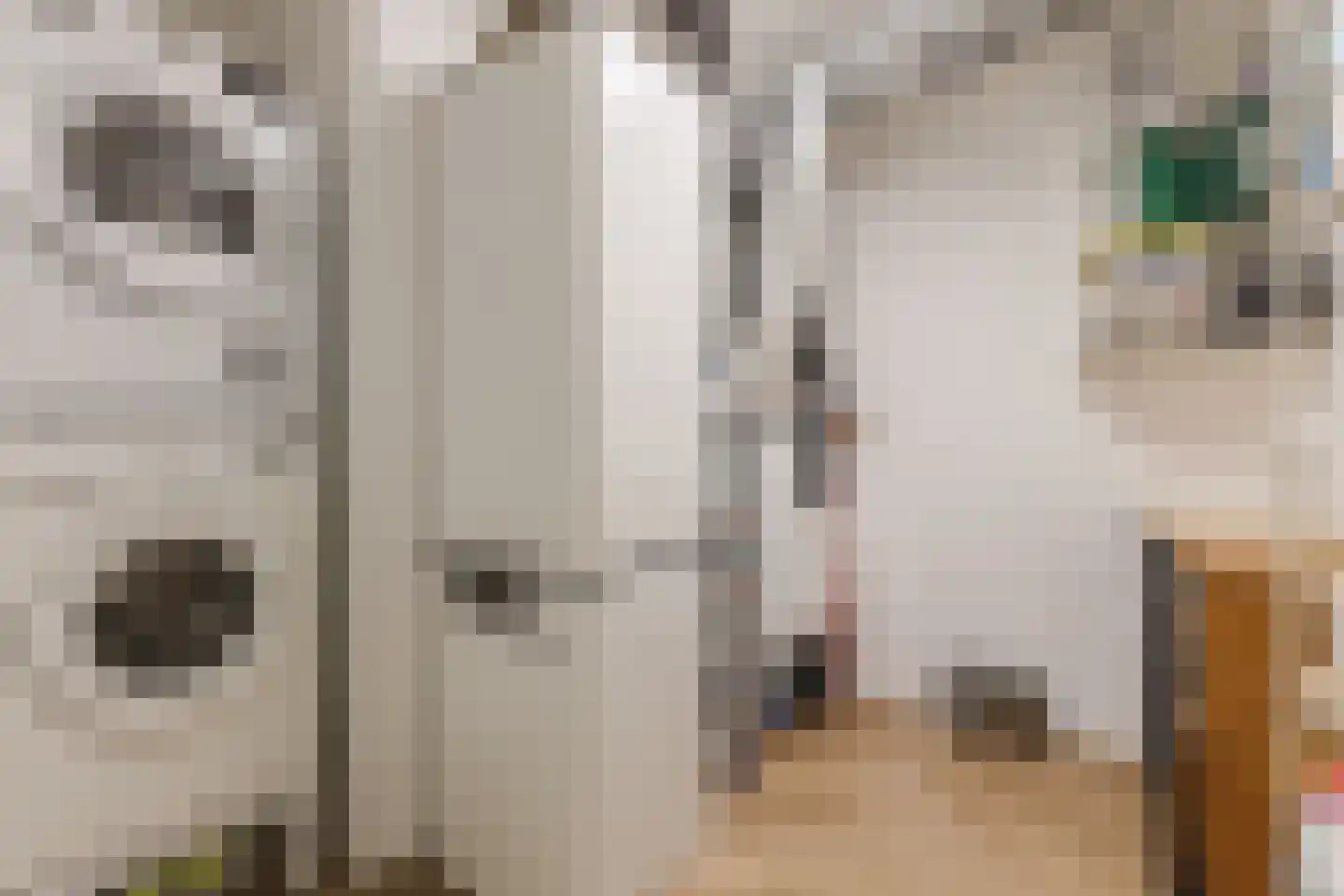Noorderhavenstraat 311 Zutphen thumbnail 31