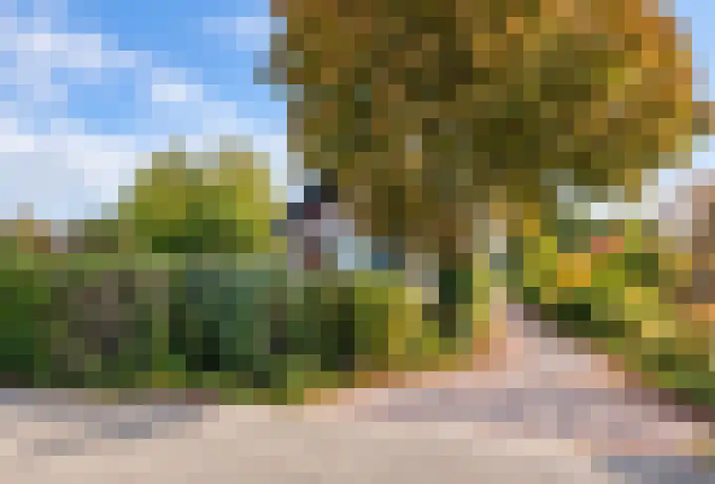Noorderhemweg 31 Roelofarendsveen thumbnail 11