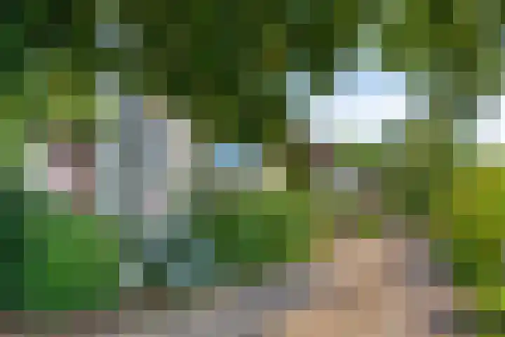 Noorderhemweg 31 Roelofarendsveen thumbnail 19
