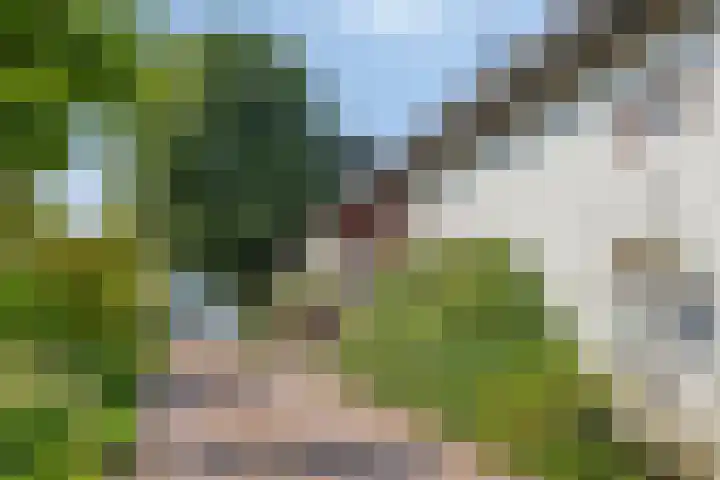 Noorderhemweg 31 Roelofarendsveen thumbnail 20