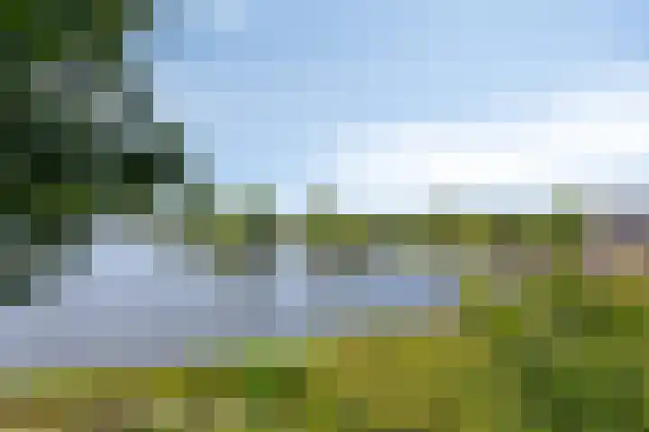 Noorderhemweg 31 Roelofarendsveen thumbnail 21