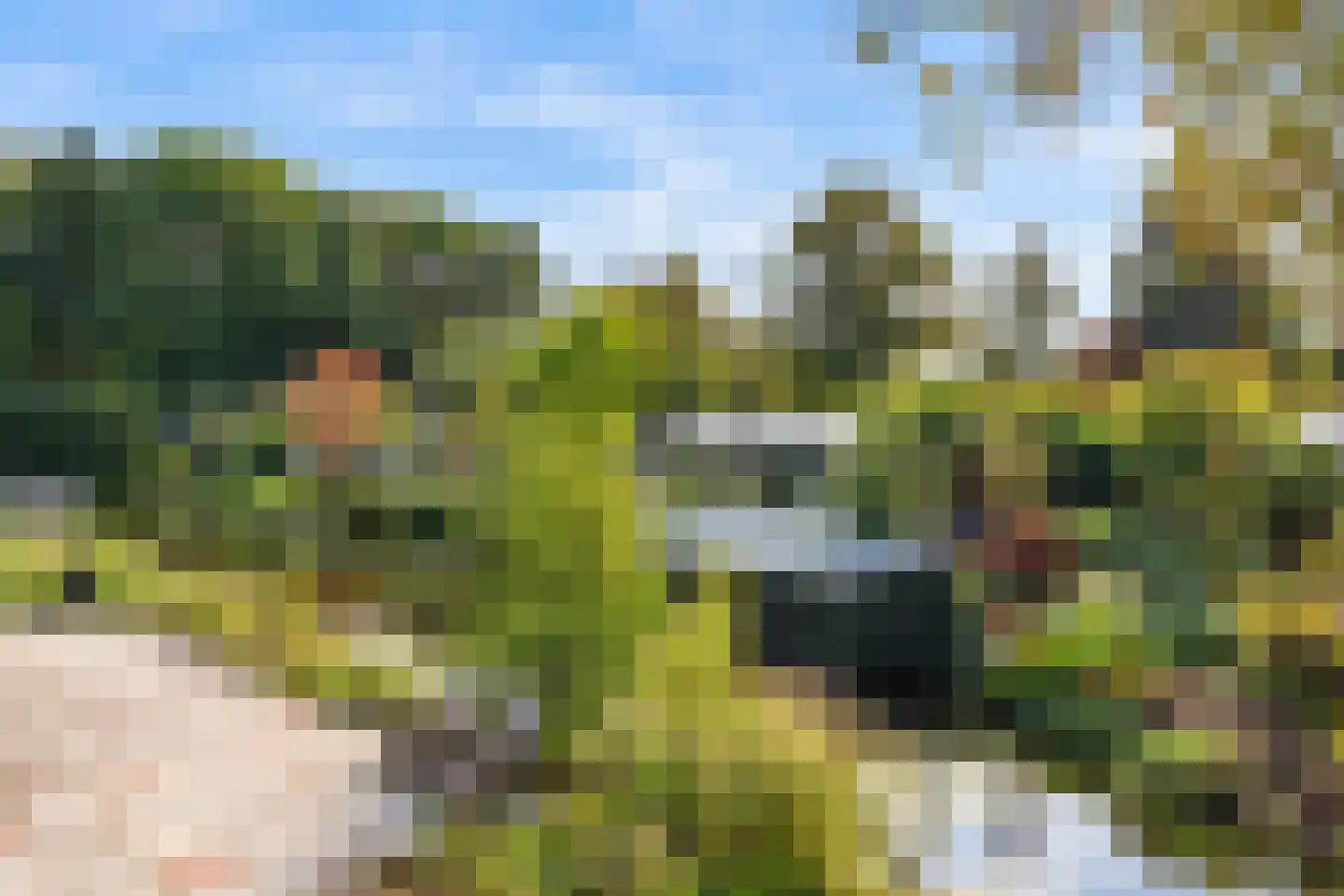 Noorderhemweg 31 Roelofarendsveen thumbnail 25