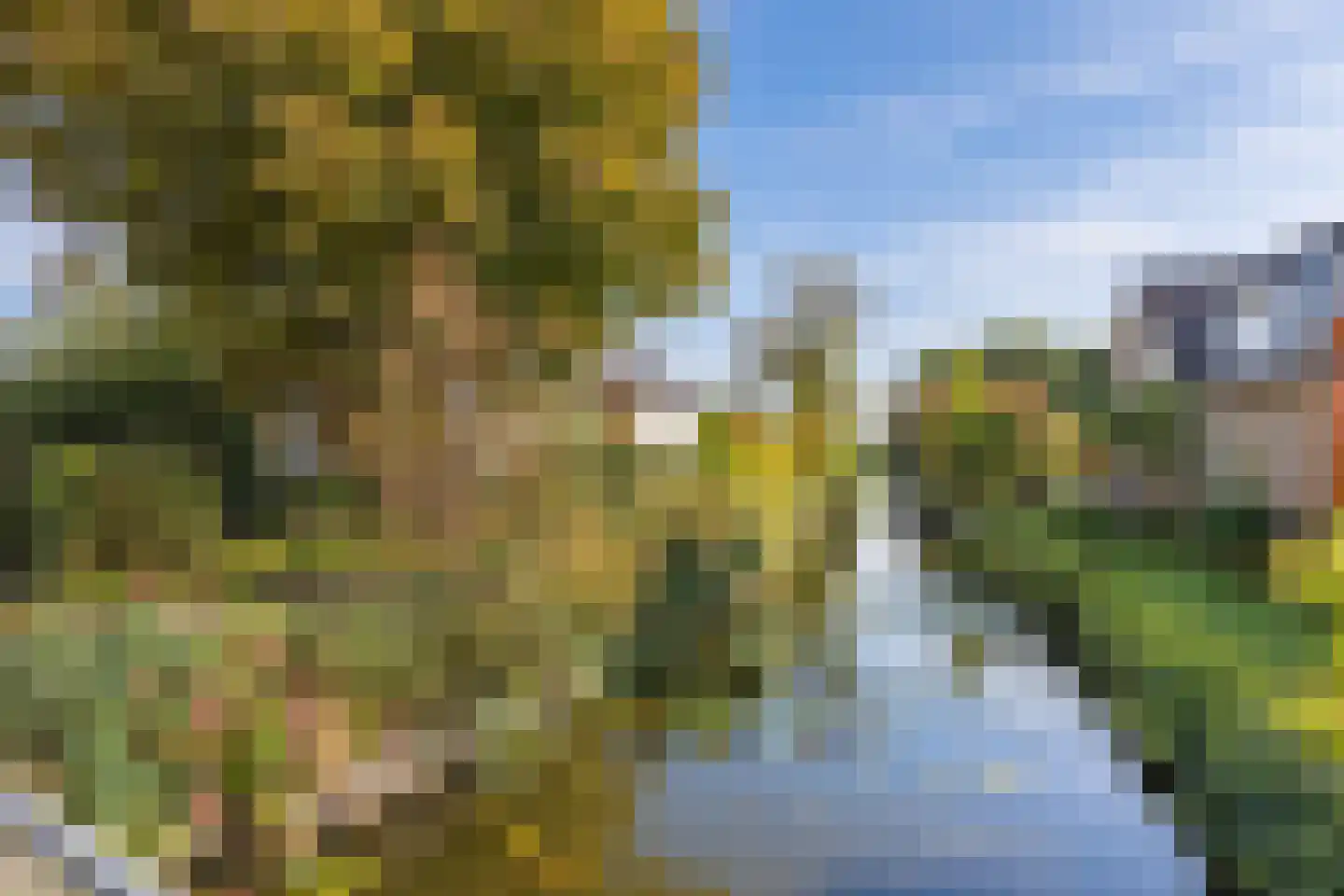 Noorderhemweg 31 Roelofarendsveen thumbnail 43