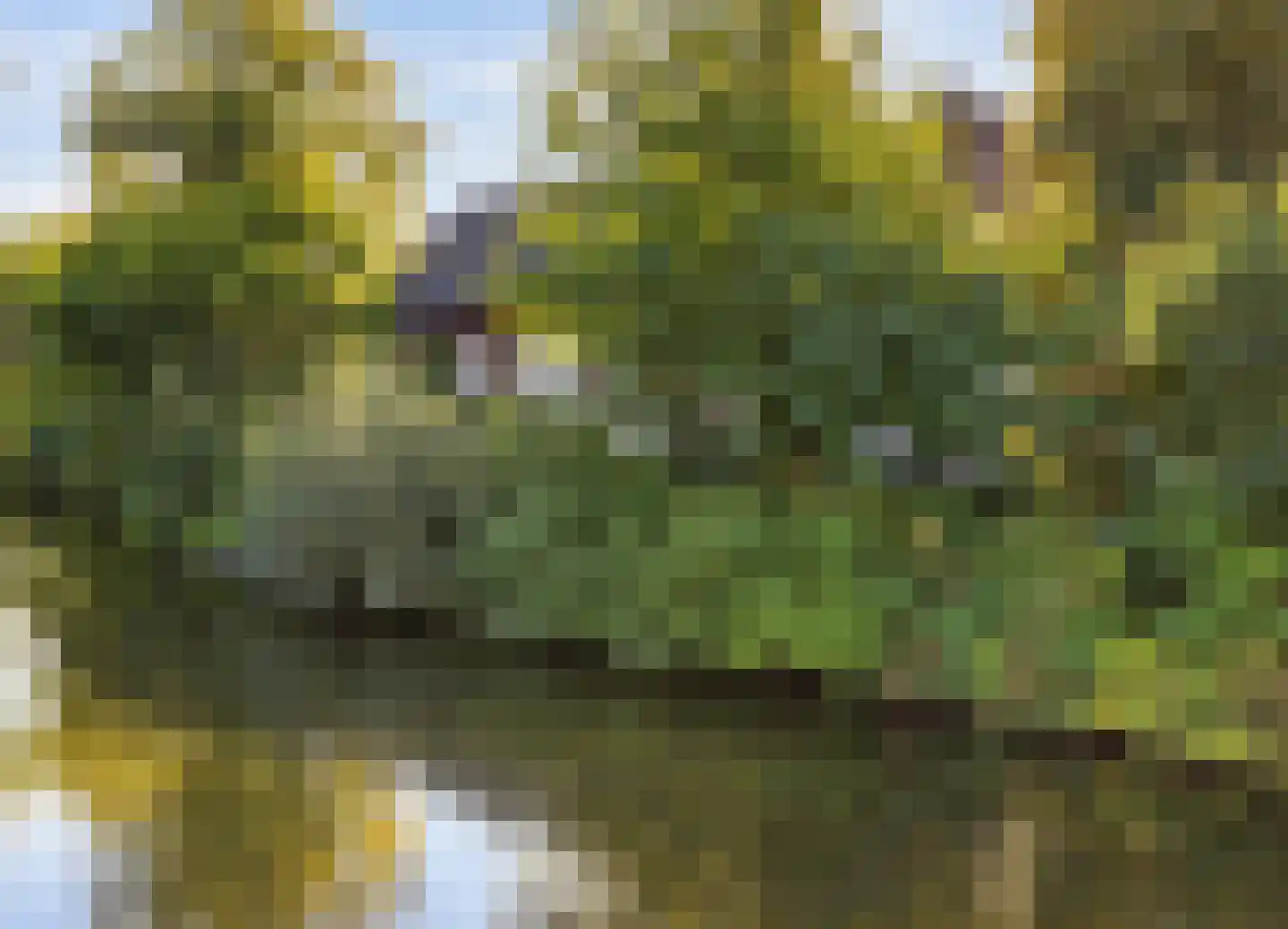 Noorderhemweg 31 Roelofarendsveen thumbnail 44
