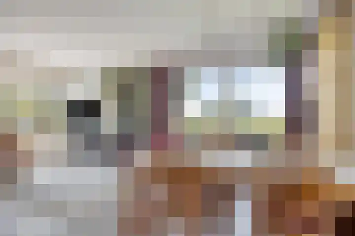 Noorderhemweg 31 Roelofarendsveen thumbnail 5