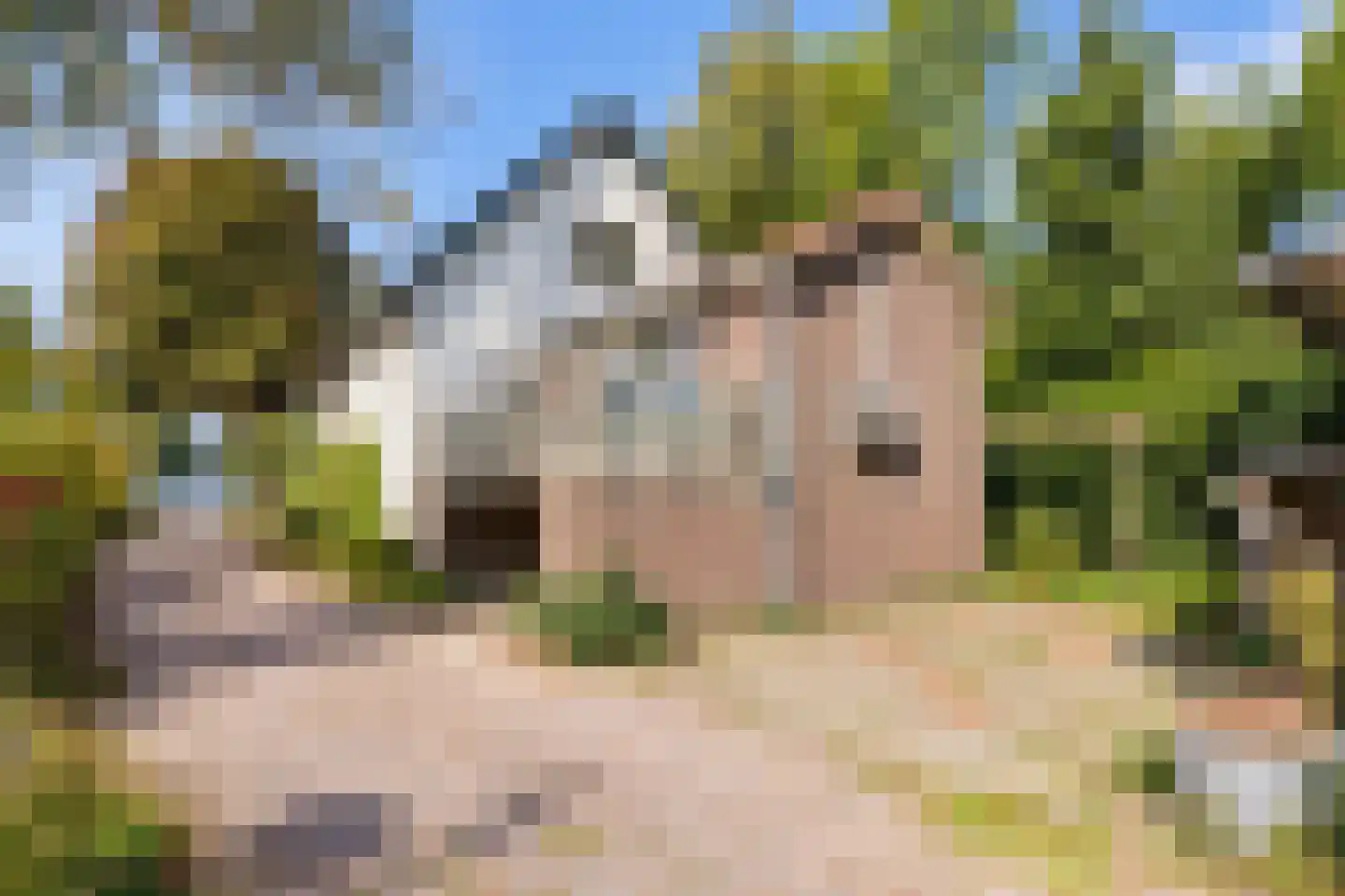 Noorderhemweg 31 Roelofarendsveen thumbnail 5