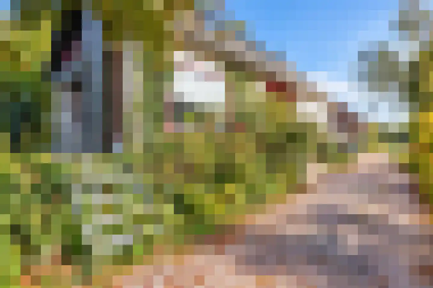 Noorderhemweg 31 Roelofarendsveen thumbnail 7