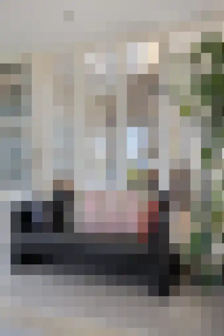 Noorderhemweg 31 Roelofarendsveen thumbnail 7