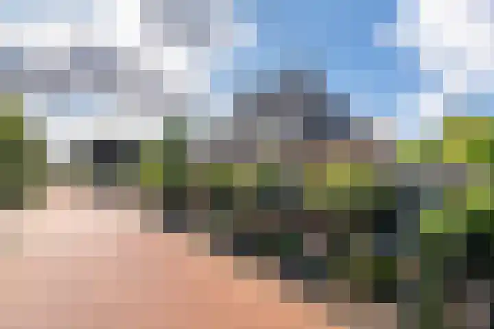 Noorderhoeve 2 Barendrecht thumbnail 39