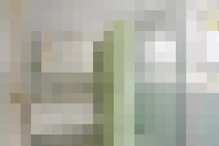 Noorderhoeve 4 Barendrecht thumbnail 30