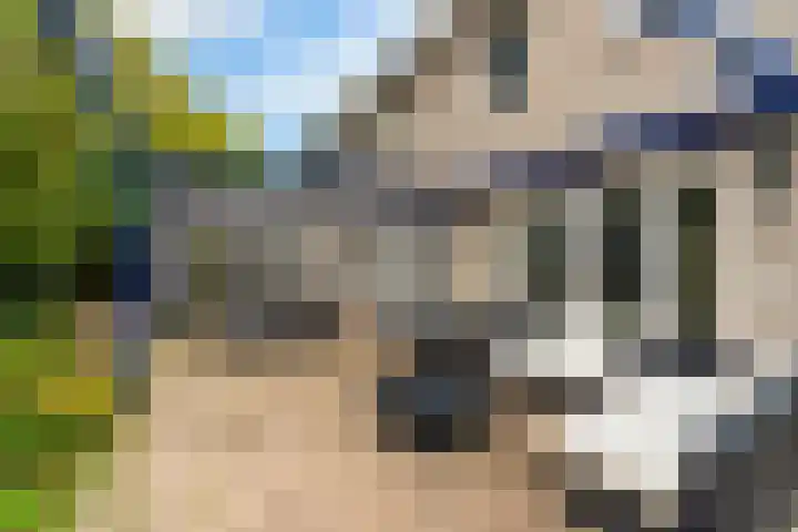 Noorderhoeve 4 Barendrecht thumbnail 33