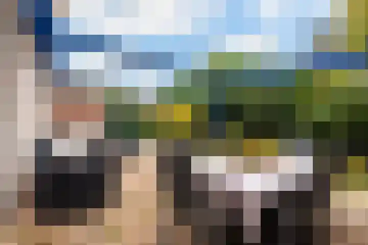 Noorderhoeve 4 Barendrecht thumbnail 34