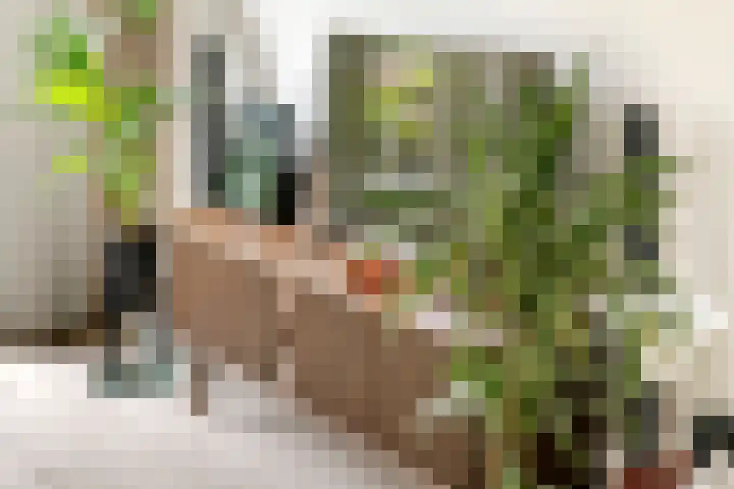 Noorderhof 5 Meteren thumbnail 12