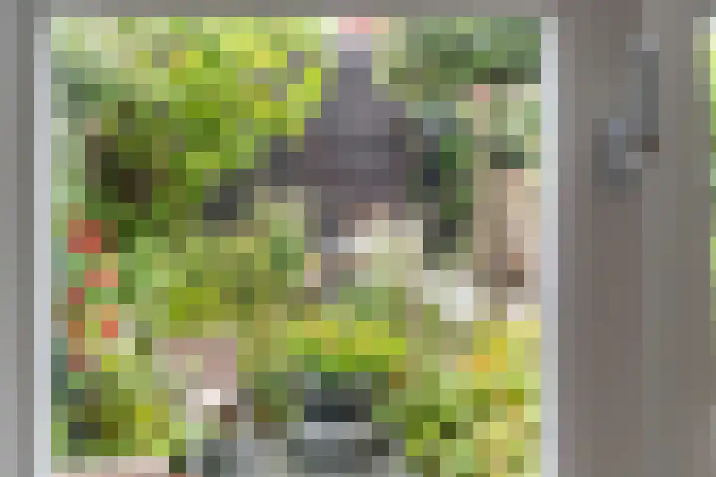 Noorderhof 5 Meteren thumbnail 22