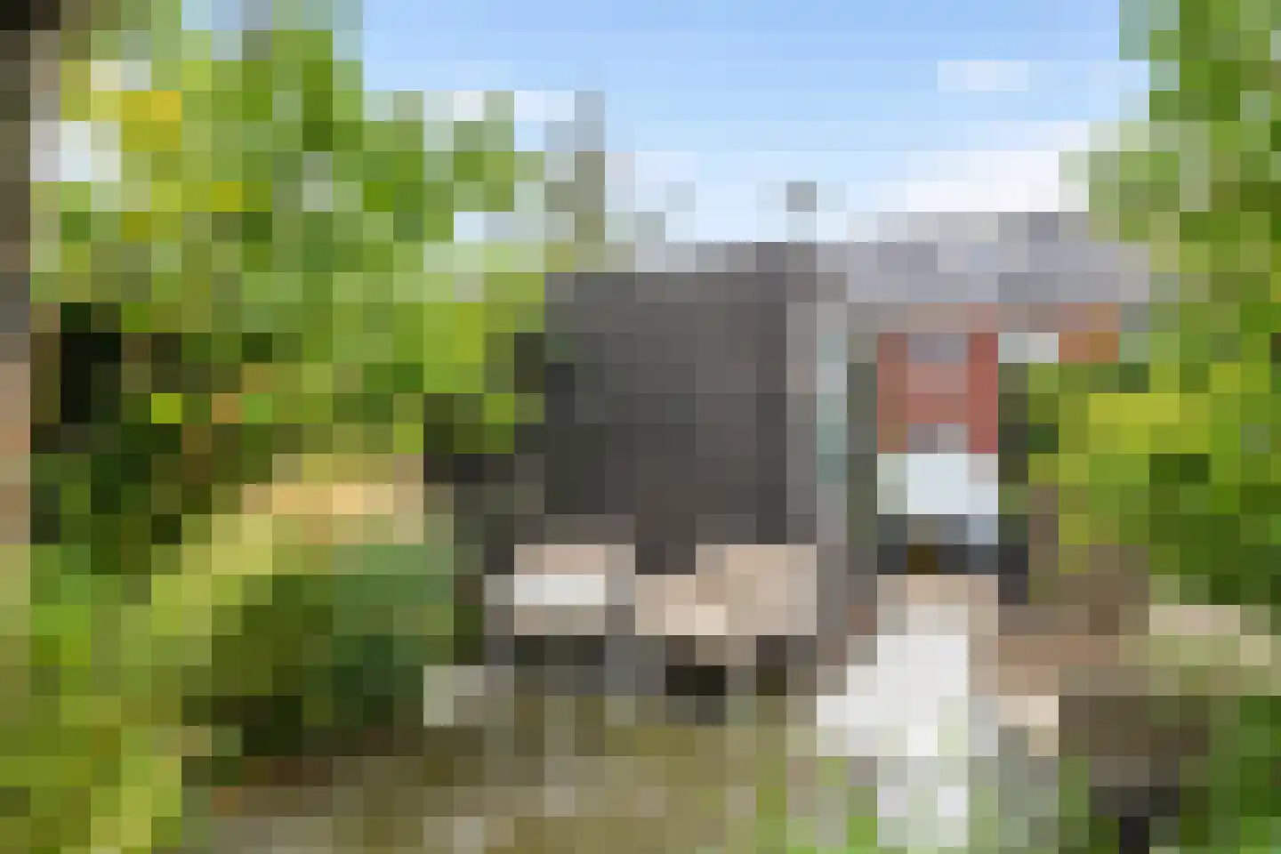 Noorderhof 5 Meteren thumbnail 24