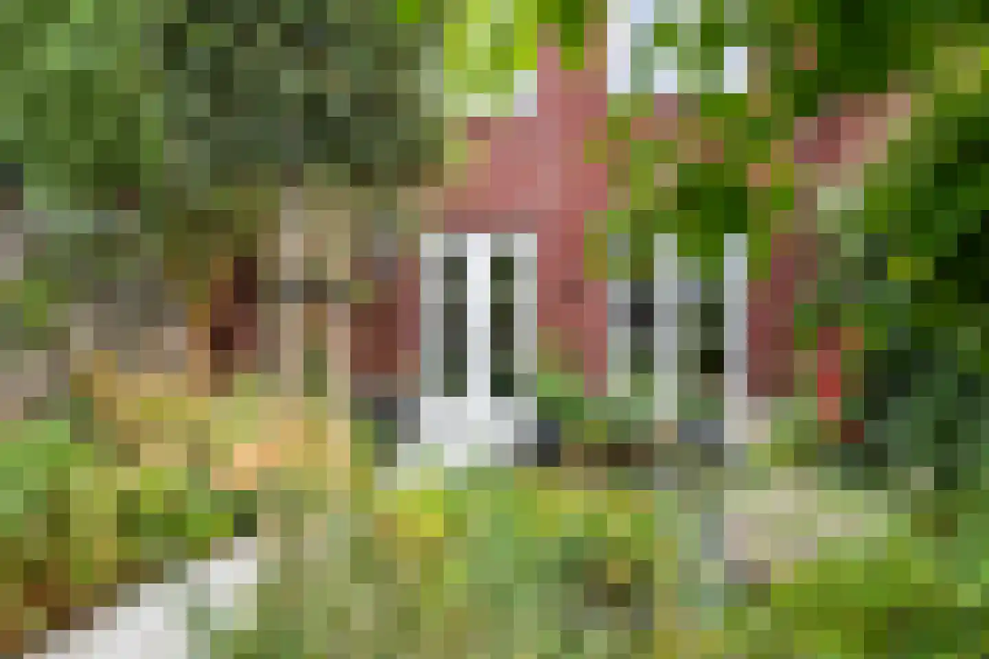 Noorderhof 5 Meteren thumbnail 26