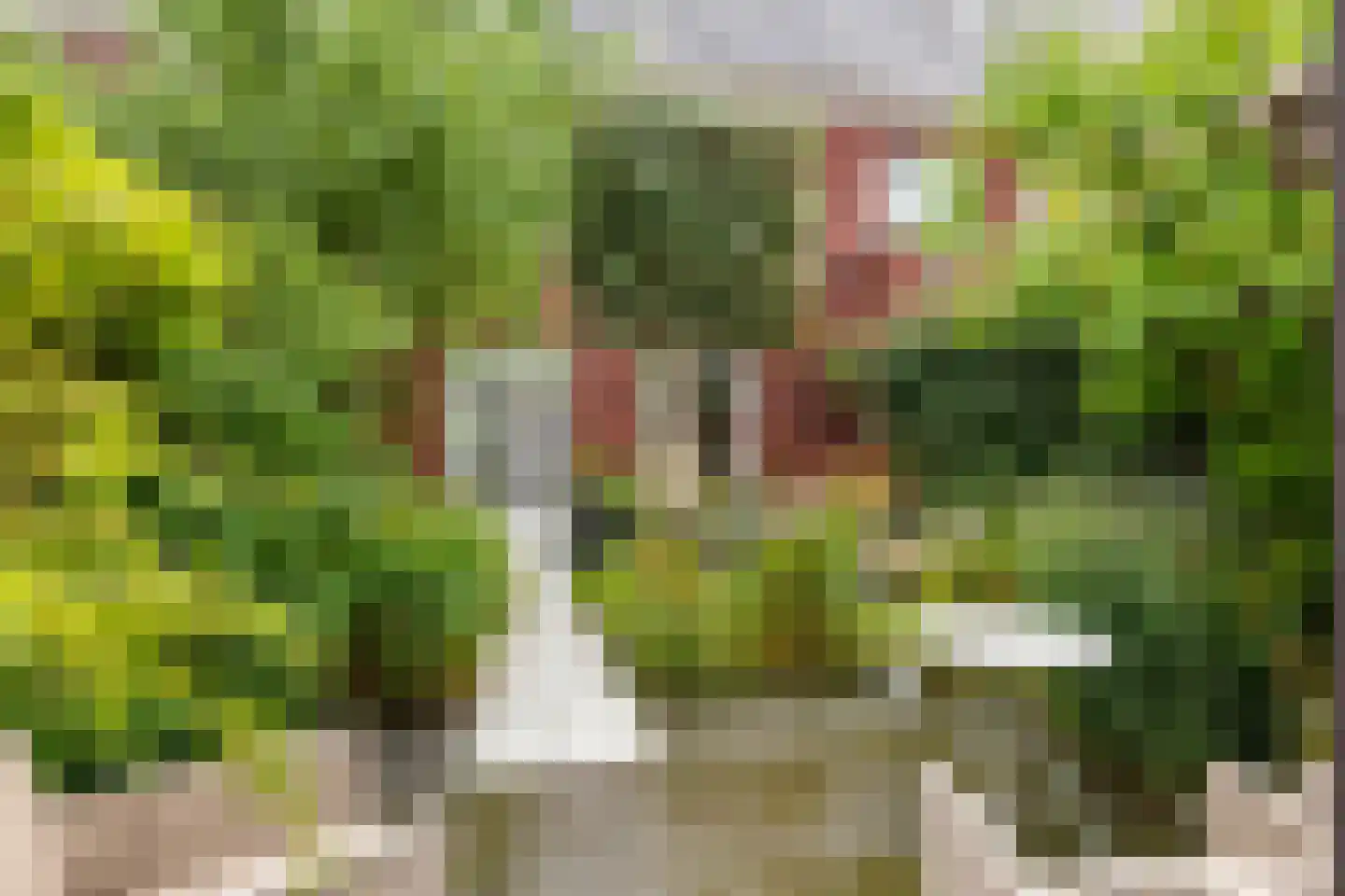 Noorderhof 5 Meteren thumbnail 27