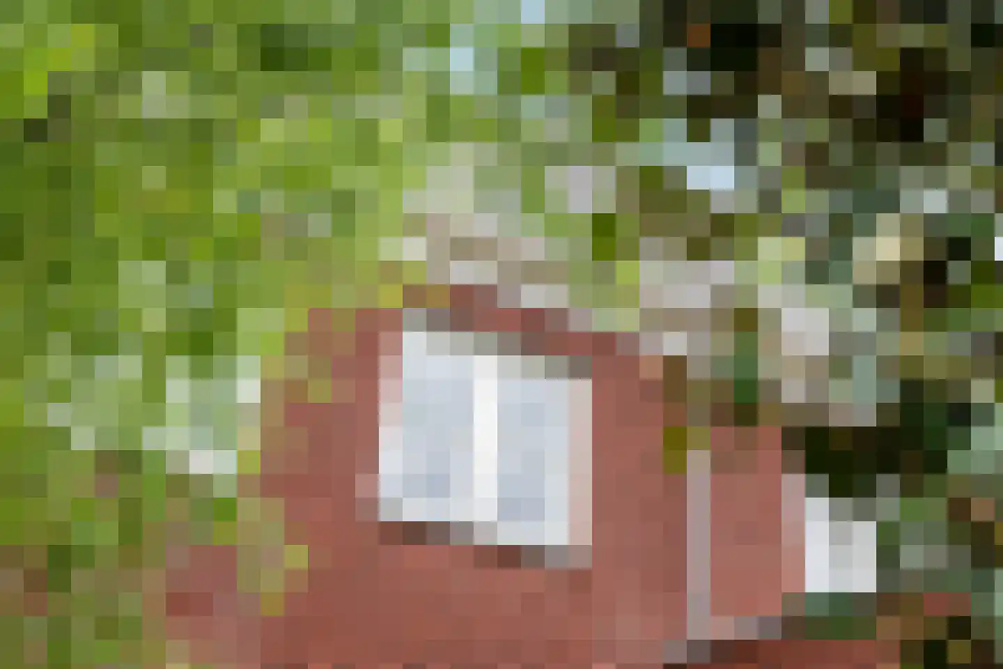 Noorderhof 5 Meteren thumbnail 28
