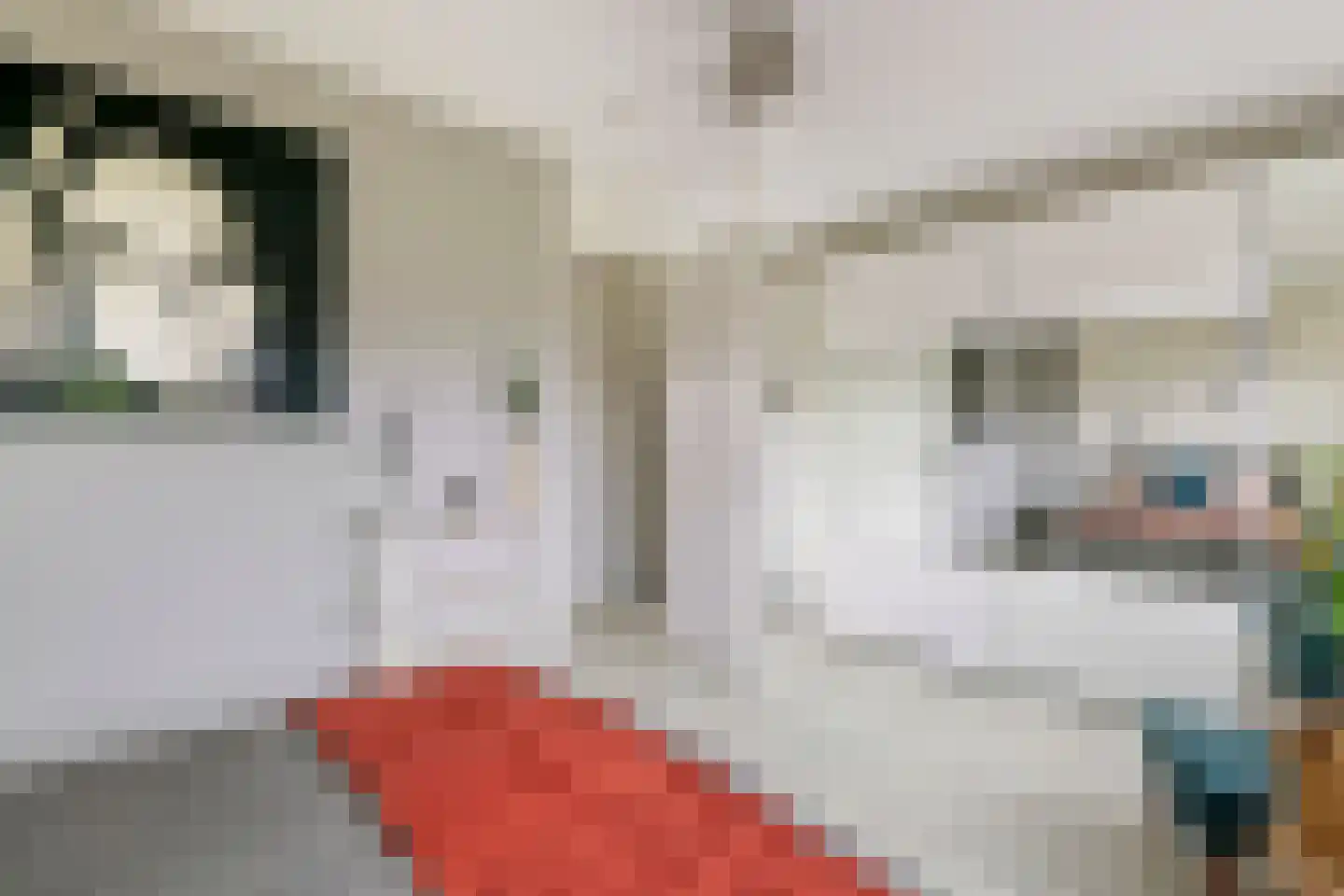 Noorderhof 5 Meteren thumbnail 33