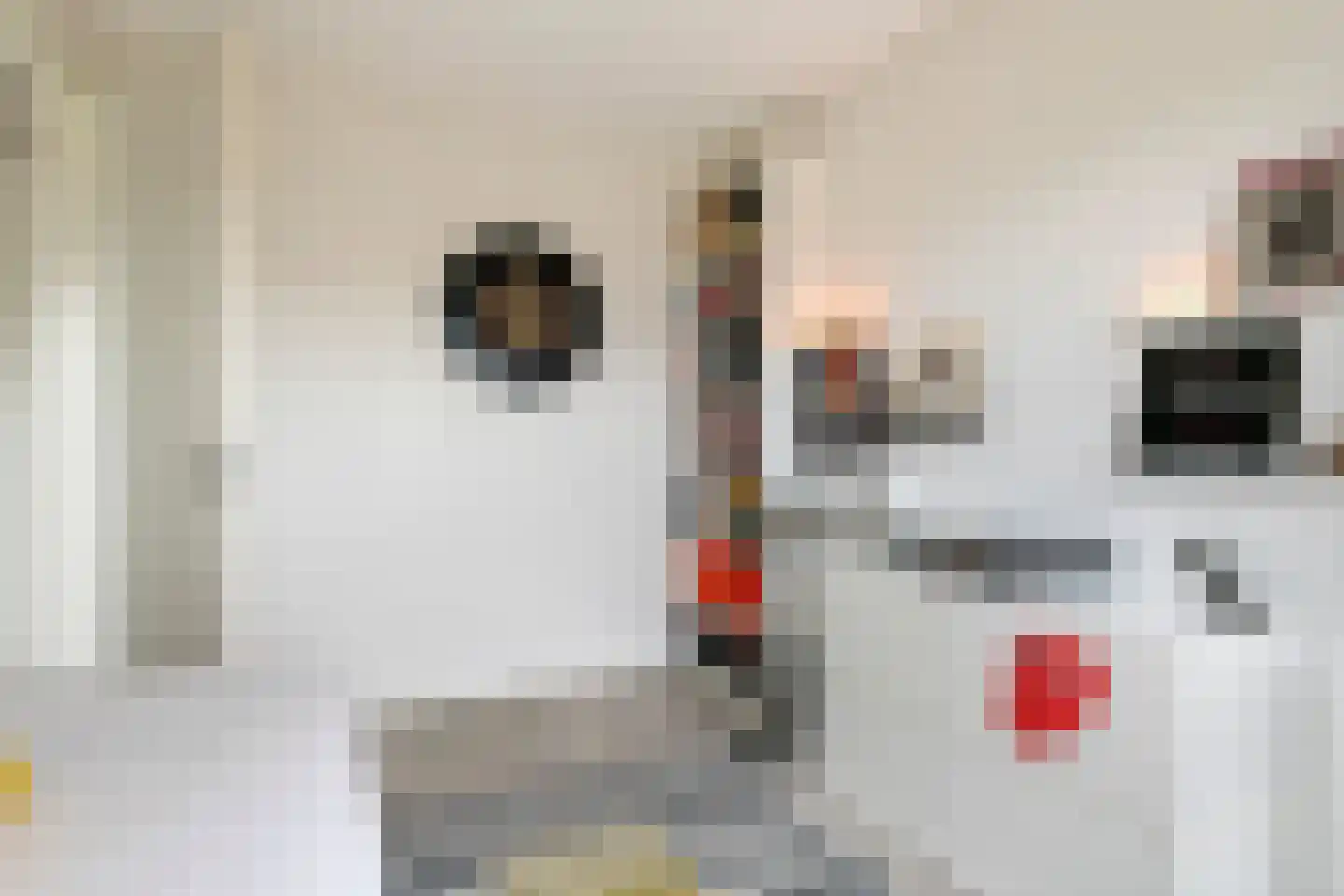 Noorderhof 5 Meteren thumbnail 37