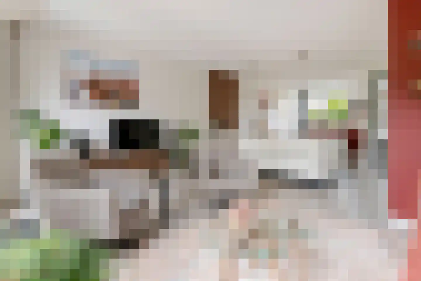 Noorderhof 5 Meteren thumbnail 9