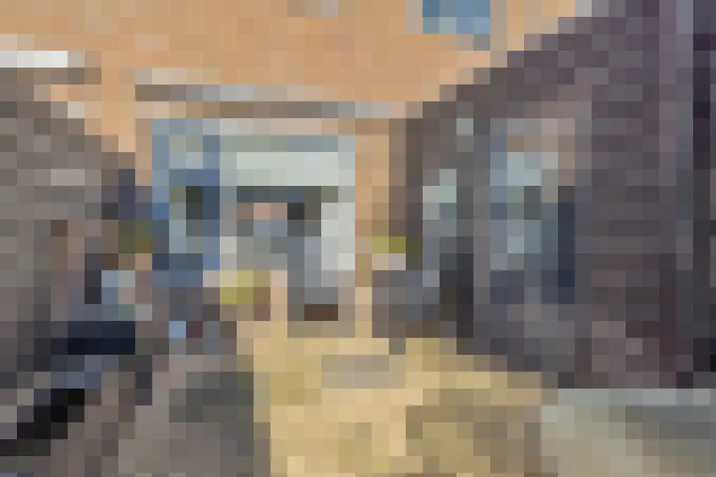 Noorderhof 62 Drachten thumbnail 40