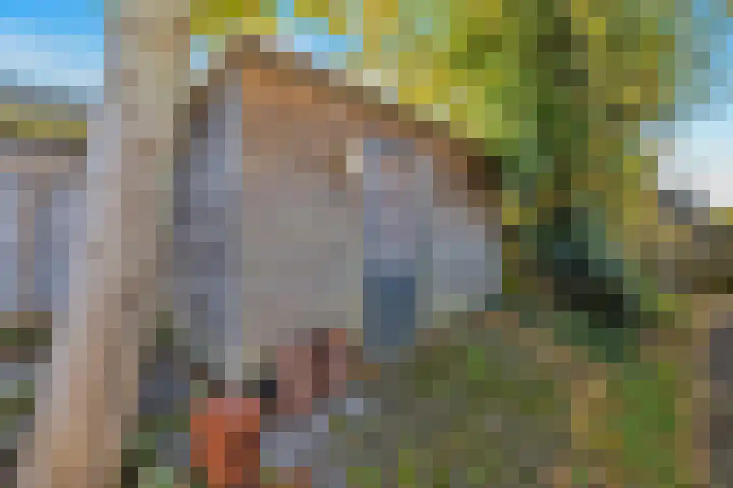 Noorderhof 62 Drachten thumbnail 41