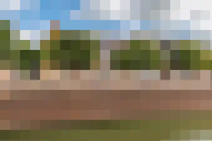 Noorderhof 77 Meteren thumbnail 12
