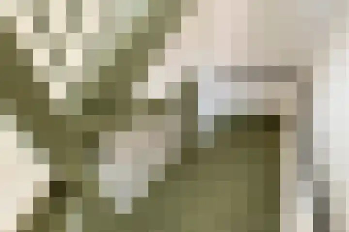 Noorderhof 77 Meteren thumbnail 37