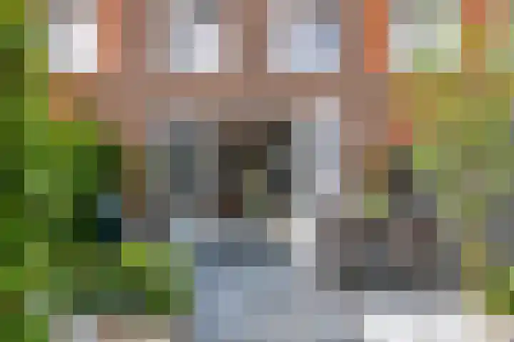 Noorderhof 77 Meteren thumbnail 4