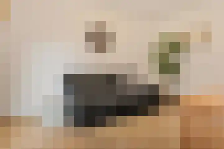 Noorderhof 9 Venray thumbnail 15