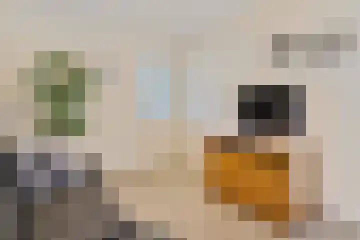 Noorderhof 9 Venray thumbnail 16
